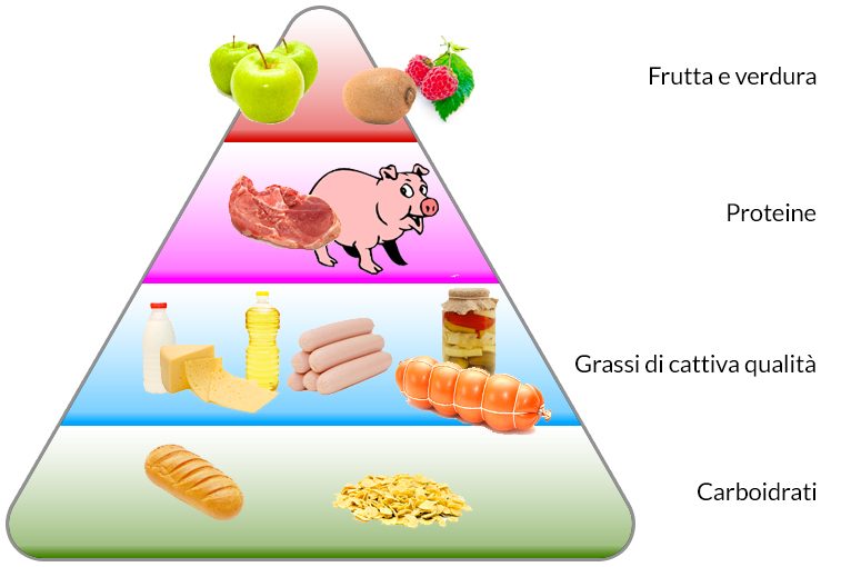piramide alimentare sbagliata